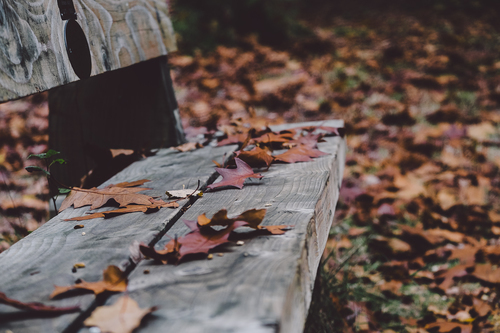 Деревянная скамейка в листьях