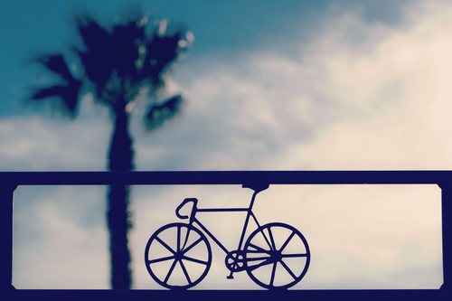 Símbolo de bicicleta con palmera de fondo