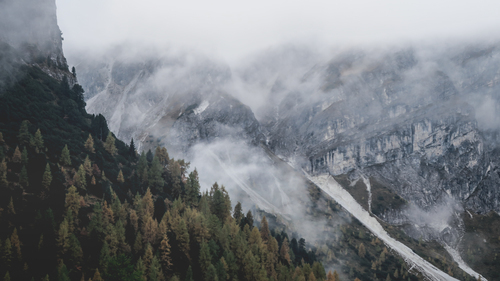 Dökmeyen ormanlı sisli dağ yamacı