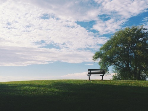 Lonely bench in a park