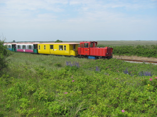 Oude trein in de natuur