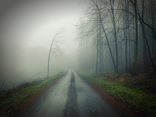 Chemin brumeux et effrayant