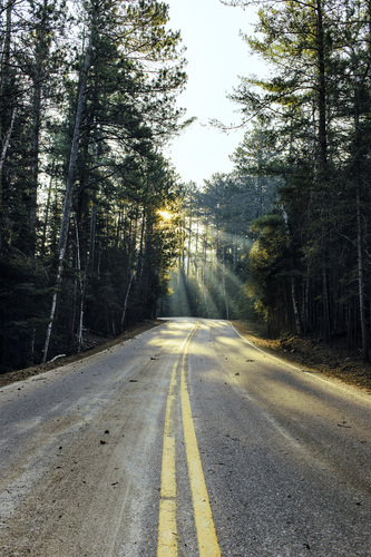 Björn huvud State Park Road