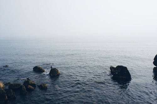 Скелі в море