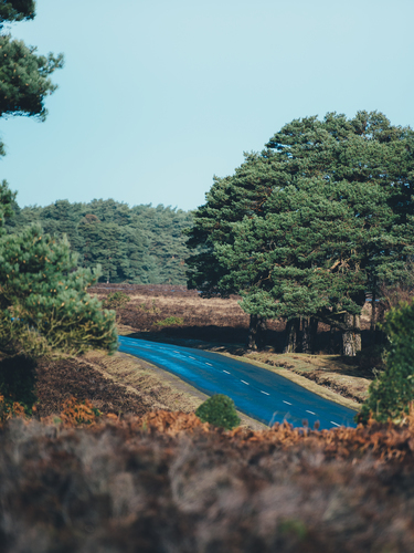 Carretera en Beaulieu, Reino Unido