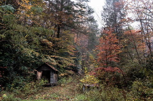 Bos van Blowing Rock, Verenigde Staten