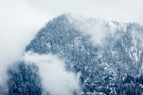Bergen bedekt met grote sneeuw