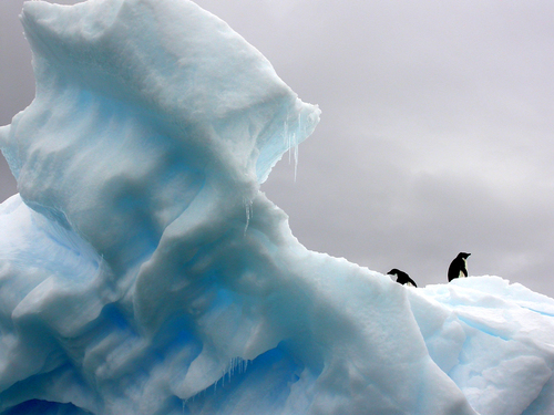 Blauwe ijsberg met pinguins
