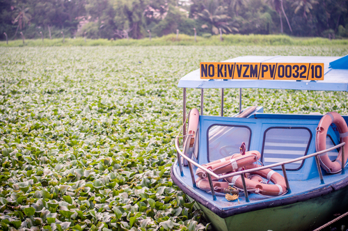 Boat in a bog