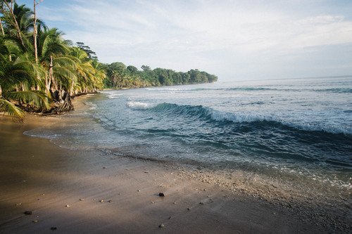 Beach of Bocas del Toro, Panama