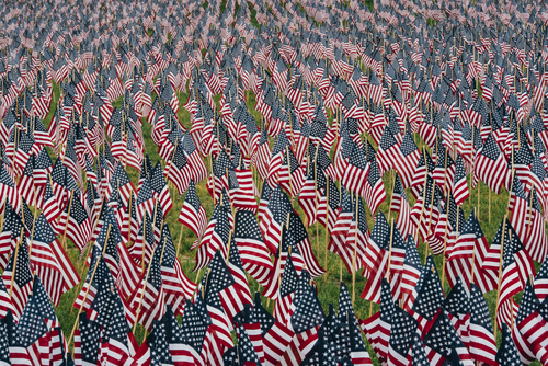 Campo de bandeiras americanas