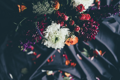 Bloemen op zwarte doek