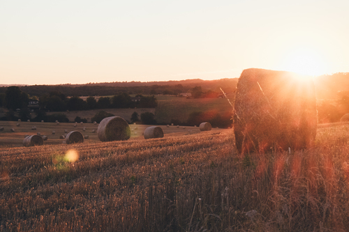 Bourdeilles pastures and sunset