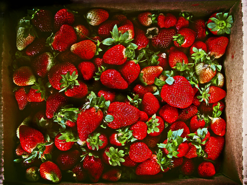 Låda med jordgubbar