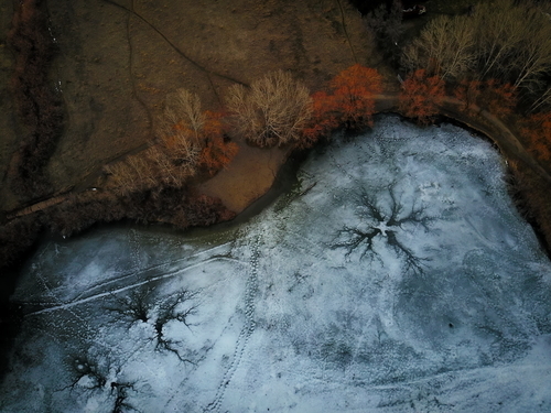 Nature glacé de Bozeman, États-Unis d’Amérique