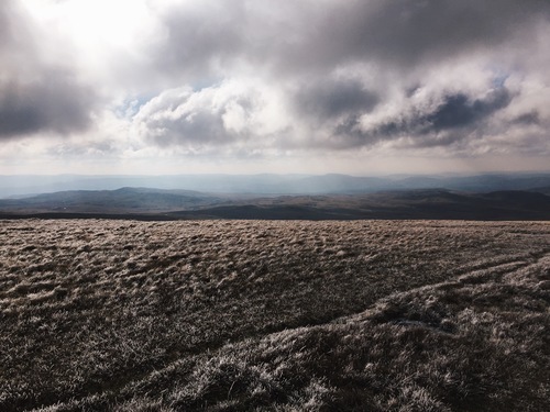 Brecon Beacons veld