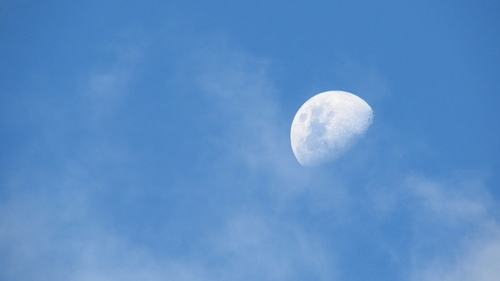 Half moon i blå himmel