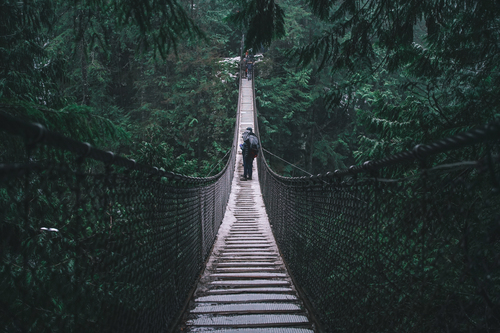 Bridge in green woods