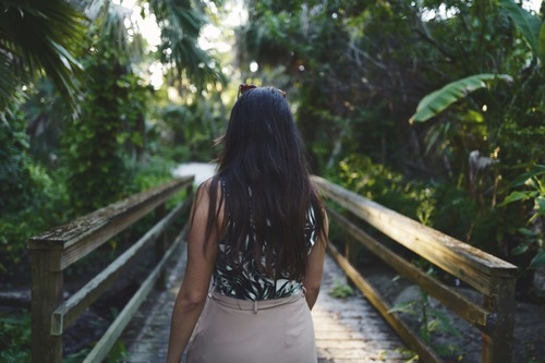 Pont à travers la forêt tropicale