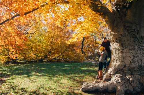 Couple climbing big tree