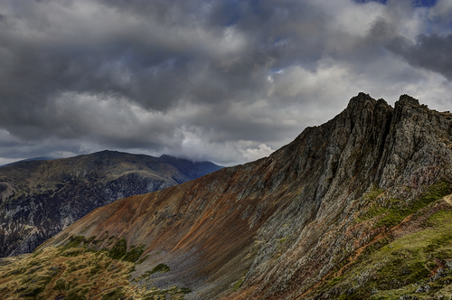 Brun mossa lutning i Snowdonia