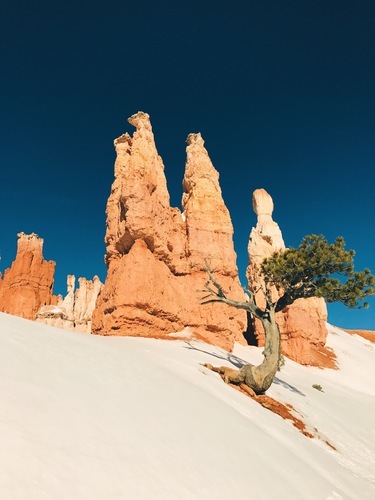 Bryce Canyon fotoğraf