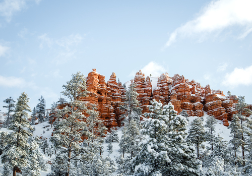 Orman Içinde Bryce Canyon Ulusal Parkı, Amerika Birleşik Devletleri (Unsplash).jpg