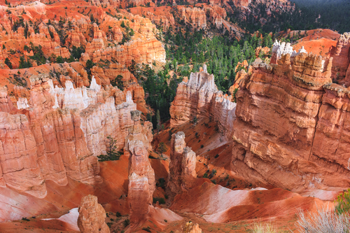 Bryce Canyon kırmızı kayalıklarla