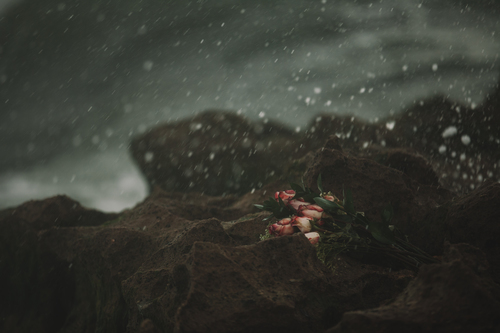 Bundle of roses on rock