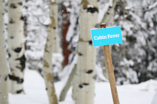 "Cabin Fever" přihlásit sněhu