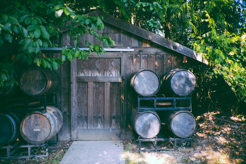 Cabin with wooden barrels