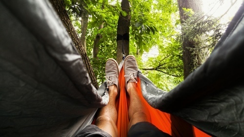 Descansando en el árbol