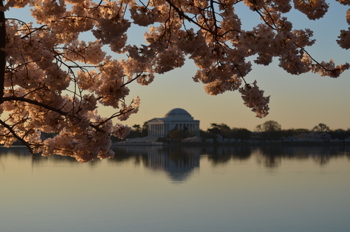 Blossom och monumental byggnad ovanför vattnet