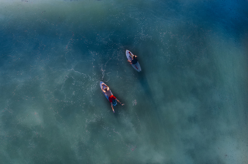 Kalme blauwe zee met surfers