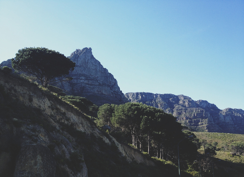 Monte com árvores