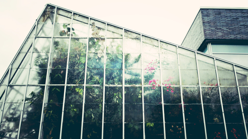 Botanická zahrada okno