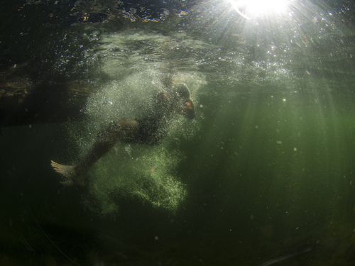 Cuerpo del hombre bajo el agua