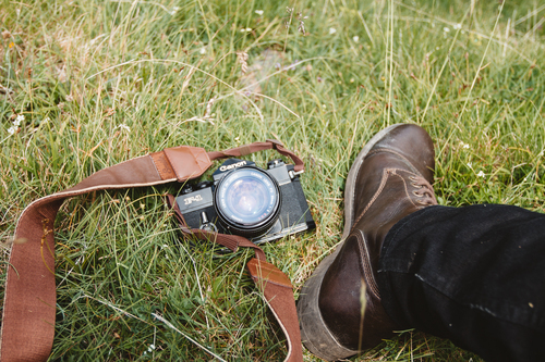 Canon in het gras