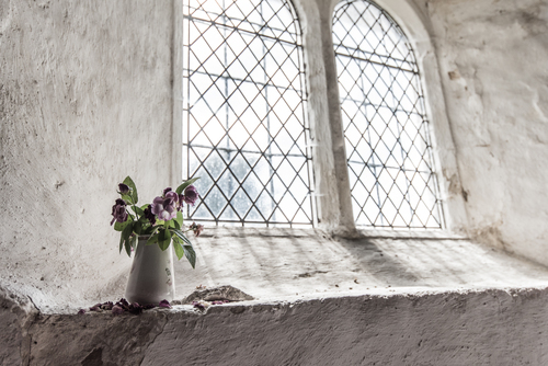 Windows with vase flowers
