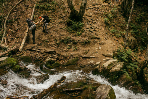 Hickers sur une rive de ruisseau