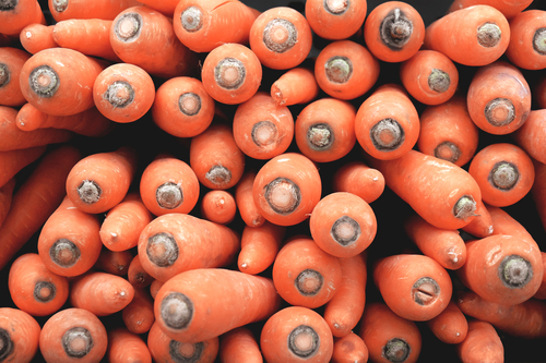 Mazzo di carote