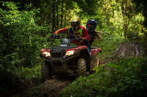 Racing through forest