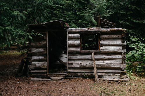 Broken cabin in the woods