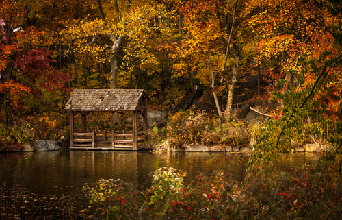 Lake in Central Park, Nova Iorque, Estados Unidos