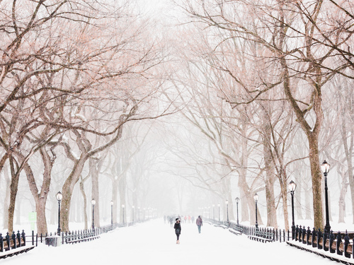 Central Park under snöstorm
