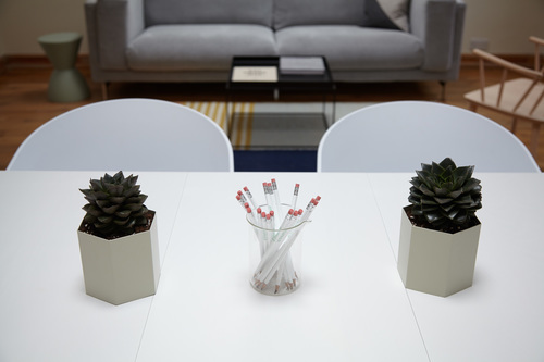 Växter och blyertspennor på ett bord