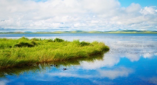 Спокойное озеро и зеленая трава