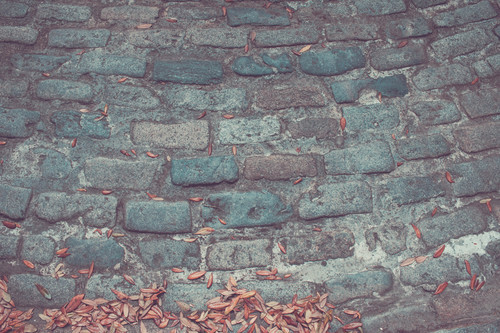 Stone pavement with leaves