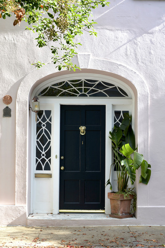 Front door with plant