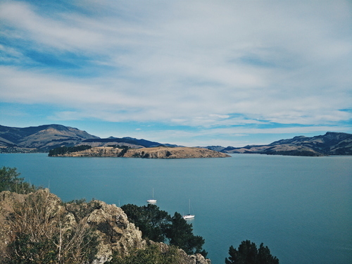 Natuur in Christchurch, Nieuw-Zeeland